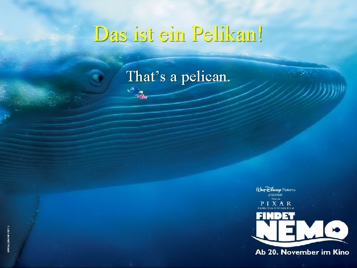 Das ist ein Pelikan! That’s a pelican. 