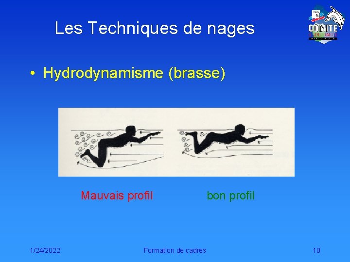 Les Techniques de nages • Hydrodynamisme (brasse) Mauvais profil 1/24/2022 Formation de cadres bon