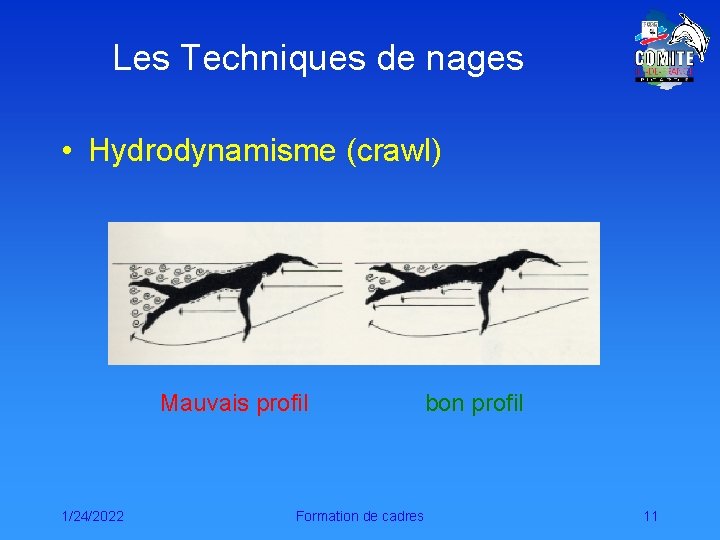 Les Techniques de nages • Hydrodynamisme (crawl) Mauvais profil 1/24/2022 Formation de cadres bon