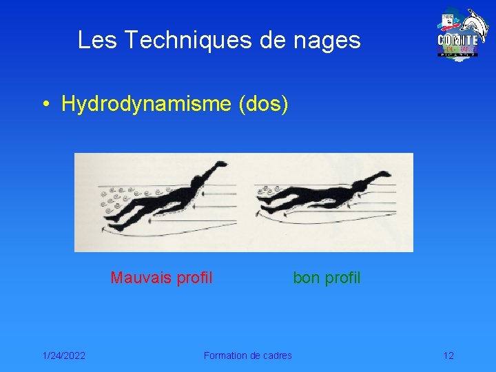 Les Techniques de nages • Hydrodynamisme (dos) Mauvais profil 1/24/2022 Formation de cadres bon