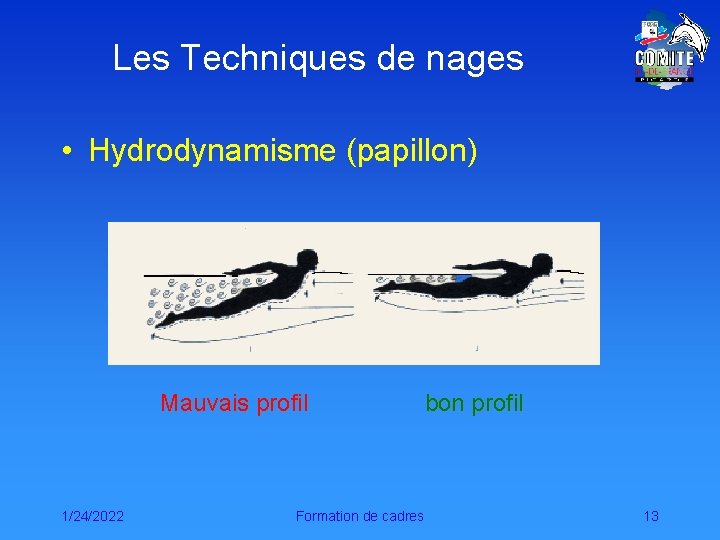 Les Techniques de nages • Hydrodynamisme (papillon) Mauvais profil 1/24/2022 Formation de cadres bon