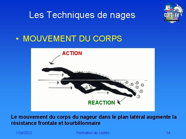 Les Techniques de nages • MOUVEMENT DU CORPS ACTION REACTION Le mouvement du corps