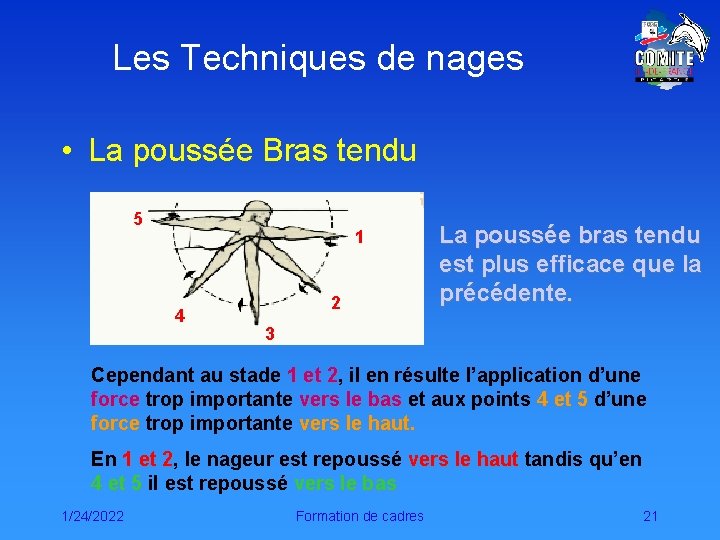 Les Techniques de nages • La poussée Bras tendu 5 1 4 2 La