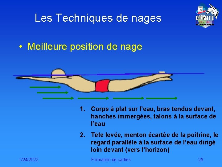 Les Techniques de nages • Meilleure position de nage 1. Corps à plat sur