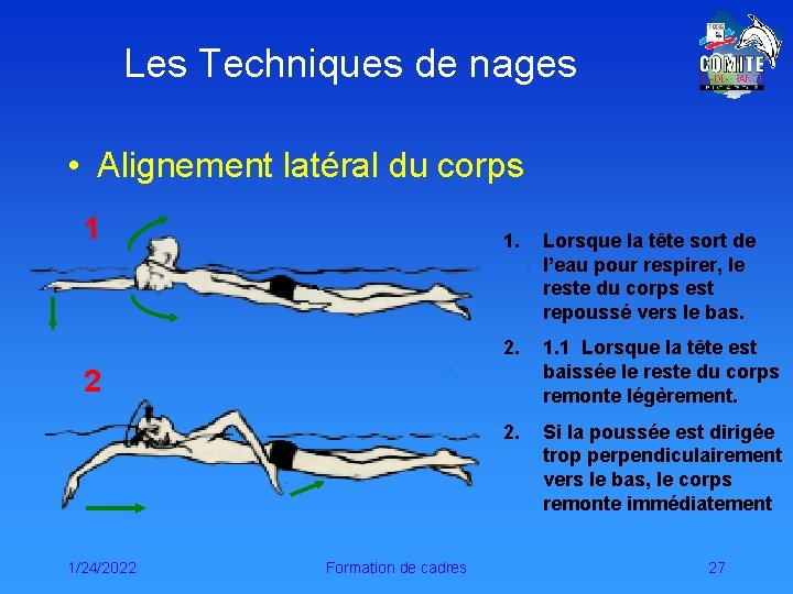 Les Techniques de nages • Alignement latéral du corps 1 1. Lorsque la tête