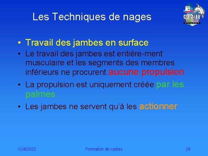 Les Techniques de nages • Travail des jambes en surface • Le travail des