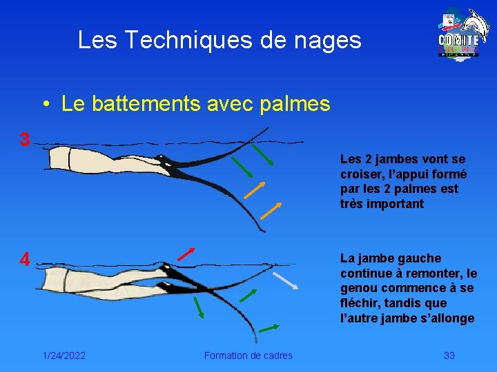 Les Techniques de nages • Le battements avec palmes 3 Les 2 jambes vont