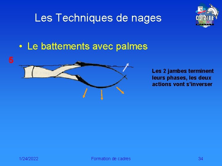 Les Techniques de nages • Le battements avec palmes 5 Les 2 jambes terminent