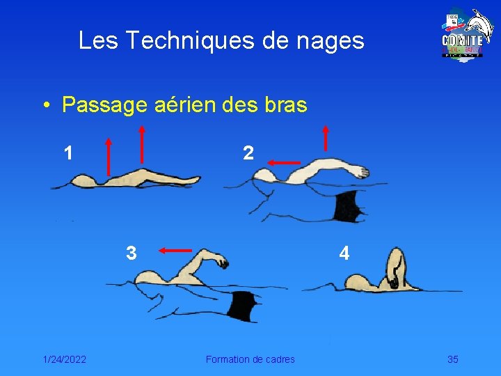 Les Techniques de nages • Passage aérien des bras 1 2 3 1/24/2022 4