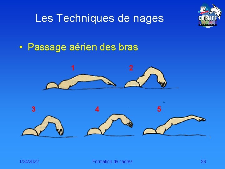 Les Techniques de nages • Passage aérien des bras 1 3 1/24/2022 2 4