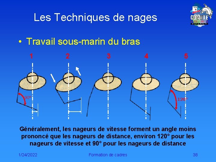 Les Techniques de nages • Travail sous-marin du bras 1 2 3 90° 4