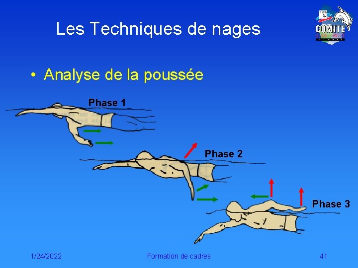 Les Techniques de nages • Analyse de la poussée Phase 1 Phase 2 Phase