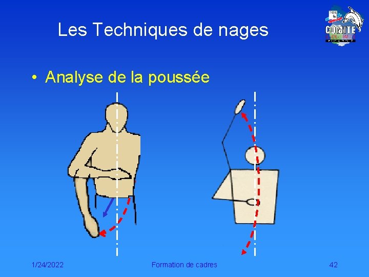 Les Techniques de nages • Analyse de la poussée 1/24/2022 Formation de cadres 42