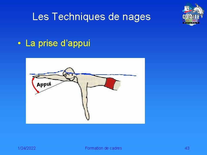 Les Techniques de nages • La prise d’appui Appui 1/24/2022 Formation de cadres 43