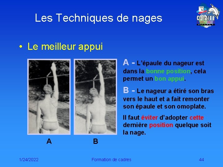 Les Techniques de nages • Le meilleur appui A - L’épaule du nageur est