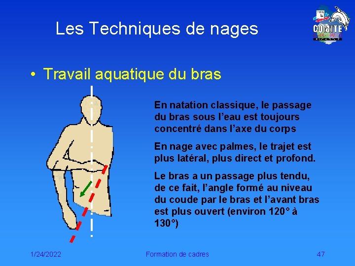 Les Techniques de nages • Travail aquatique du bras En natation classique, le passage