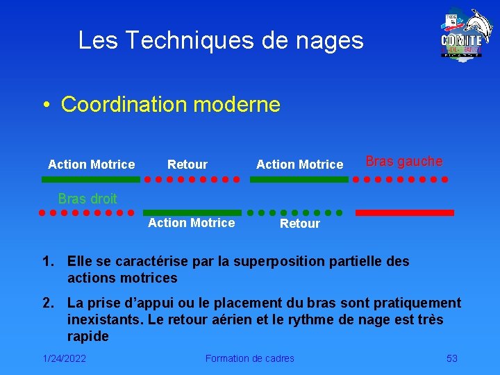 Les Techniques de nages • Coordination moderne Action Motrice Retour Action Motrice Bras gauche