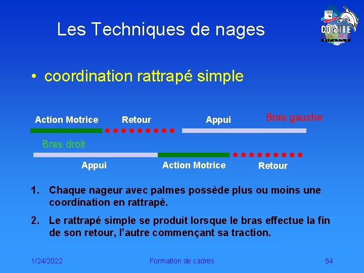 Les Techniques de nages • coordination rattrapé simple Action Motrice Retour Appui Bras gauche