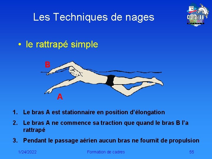 Les Techniques de nages • le rattrapé simple B A 1. Le bras A