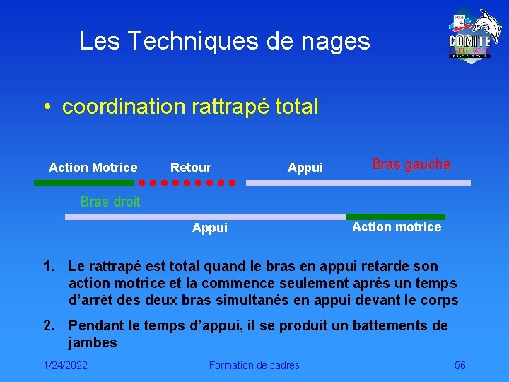 Les Techniques de nages • coordination rattrapé total Action Motrice Retour Appui Bras gauche