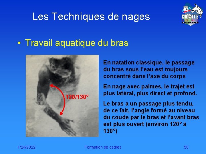 Les Techniques de nages • Travail aquatique du bras En natation classique, le passage