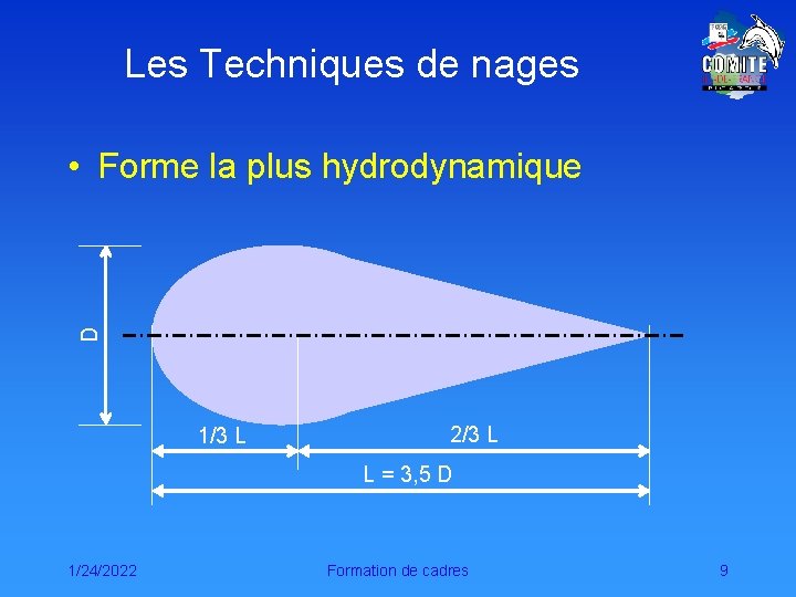 Les Techniques de nages D • Forme la plus hydrodynamique 1/3 L 2/3 L