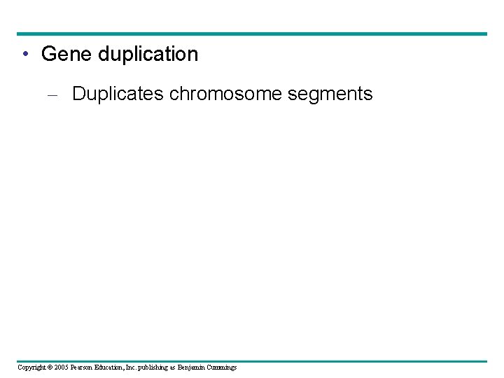  • Gene duplication – Duplicates chromosome segments Copyright © 2005 Pearson Education, Inc.