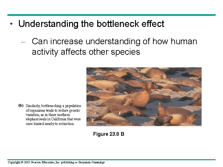  • Understanding the bottleneck effect – Can increase understanding of how human activity