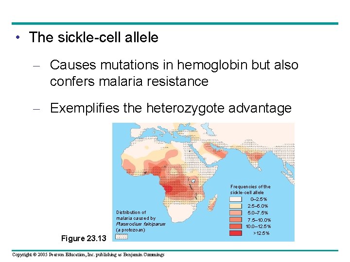 • The sickle-cell allele – Causes mutations in hemoglobin but also confers malaria • The sickle-cell allele – Causes mutations in hemoglobin but also confers malaria