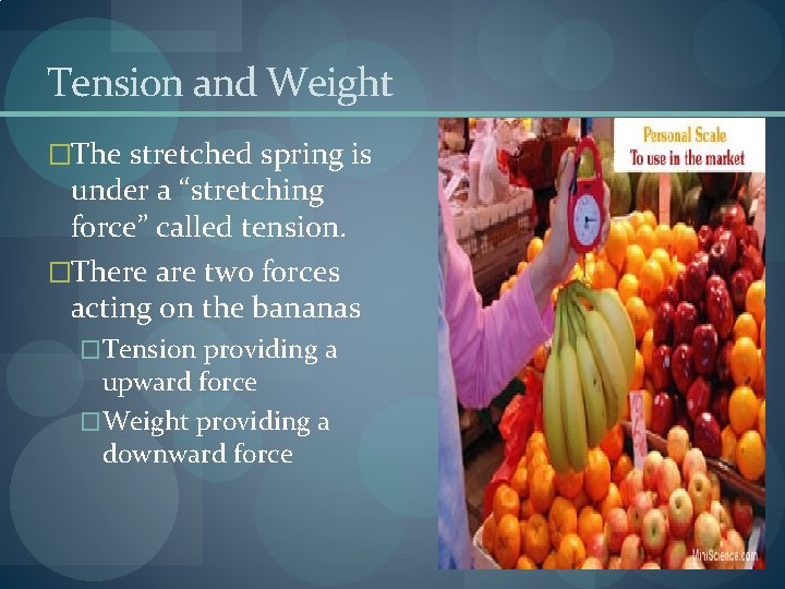 Tension and Weight �The stretched spring is under a “stretching force” called tension. �There