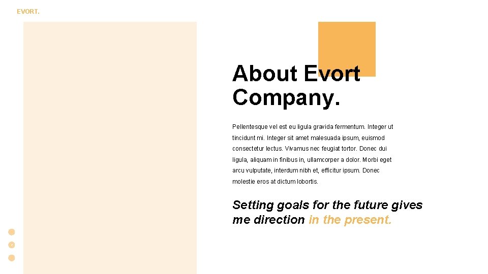 EVORT. About Evort Company. Pellentesque vel est eu ligula gravida fermentum. Integer ut tincidunt