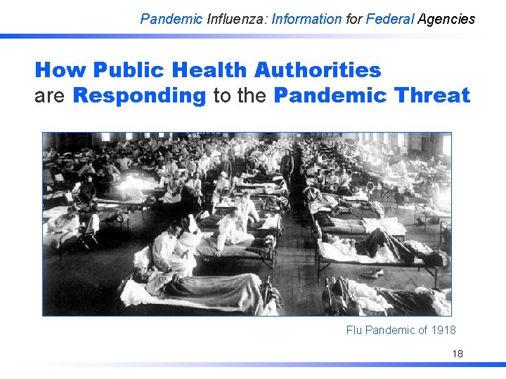 Pandemic Influenza: Information for Federal Agencies How Public Health Authorities are Responding to the