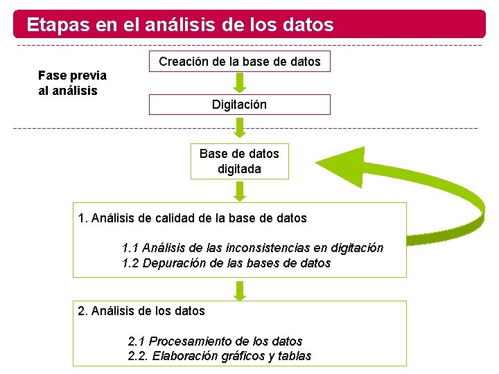 Etapas en el análisis de los datos Creación de la base de datos Fase