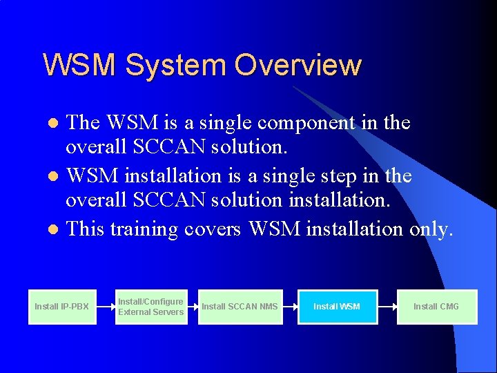 WSM System Overview The WSM is a single component in the overall SCCAN solution.