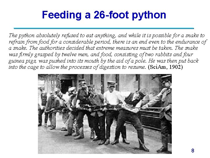 Feeding a 26 -foot python The python absolutely refused to eat anything, and while