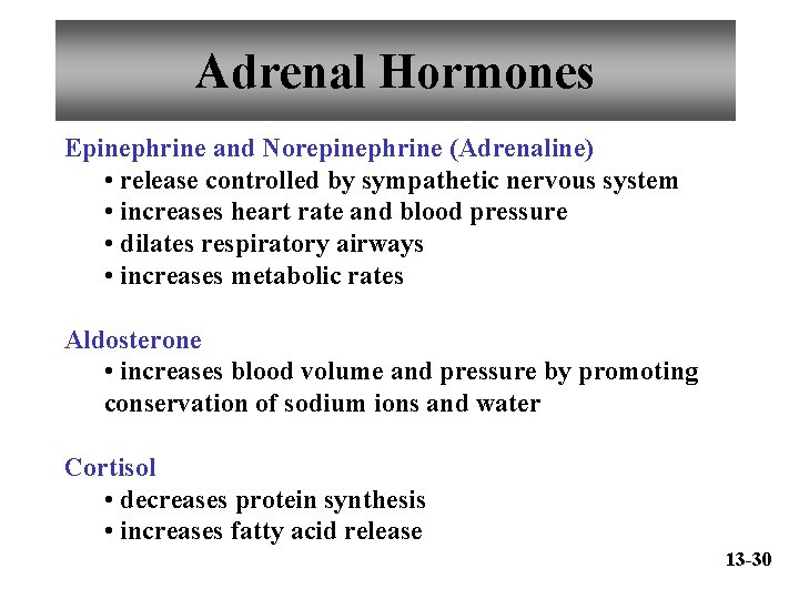 Adrenal Hormones Epinephrine and Norepinephrine (Adrenaline) • release controlled by sympathetic nervous system •