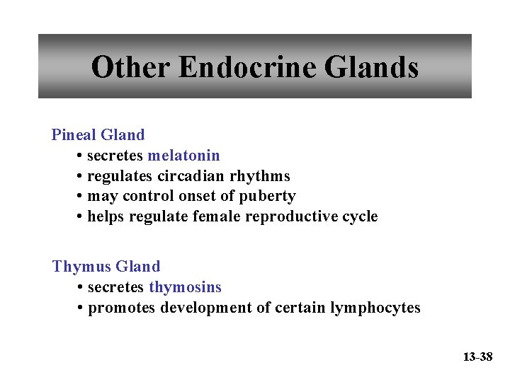 Other Endocrine Glands Pineal Gland • secretes melatonin • regulates circadian rhythms • may