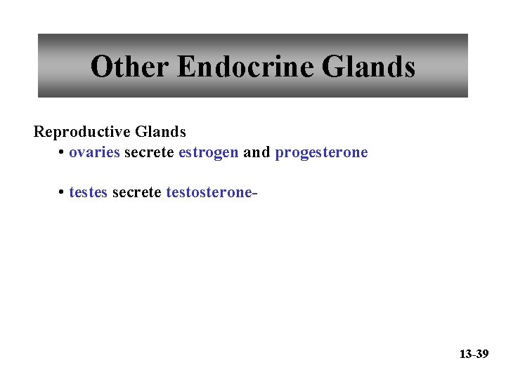 Other Endocrine Glands Reproductive Glands • ovaries secrete estrogen and progesterone • testes secrete