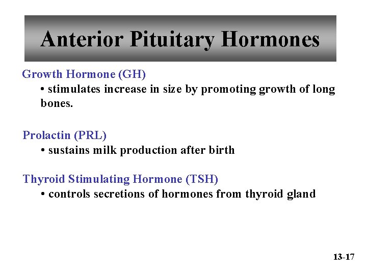 Anterior Pituitary Hormones Growth Hormone (GH) • stimulates increase in size by promoting growth