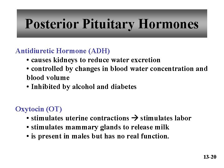 Posterior Pituitary Hormones Antidiuretic Hormone (ADH) • causes kidneys to reduce water excretion •