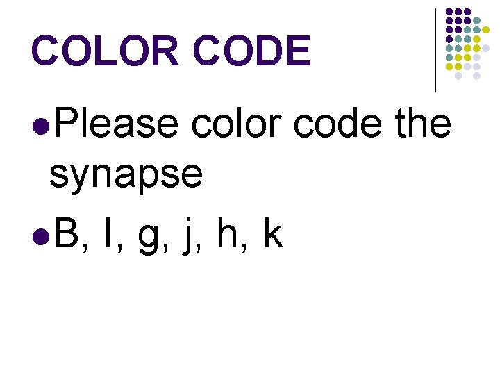 COLOR CODE l. Please color code the synapse l. B, I, g, j, h,