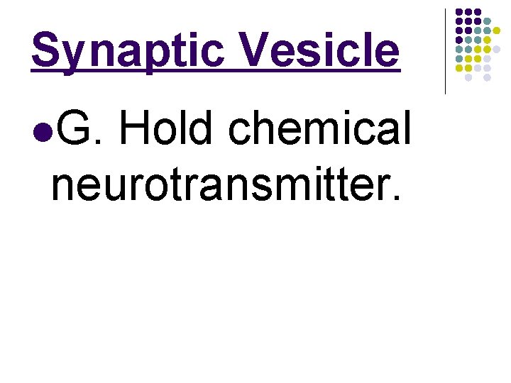 Synaptic Vesicle l. G. Hold chemical neurotransmitter. 