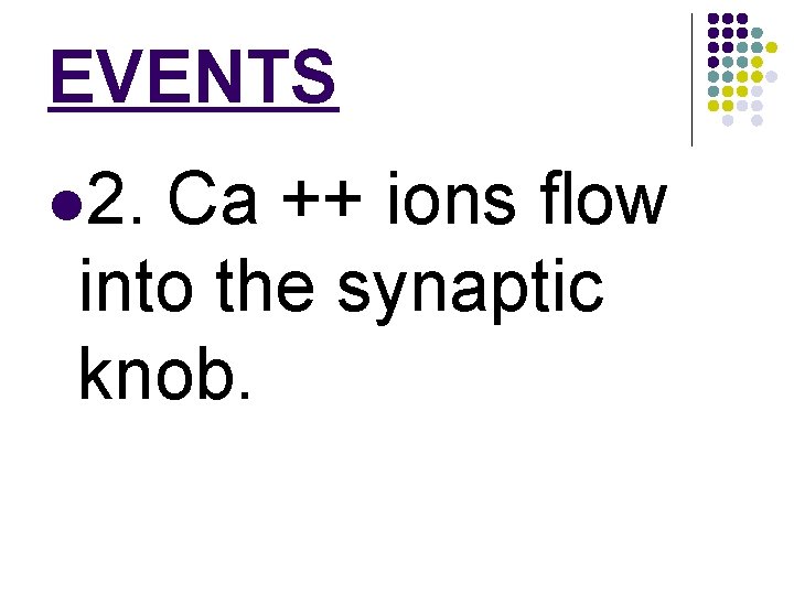 EVENTS l 2. Ca ++ ions flow into the synaptic knob. 