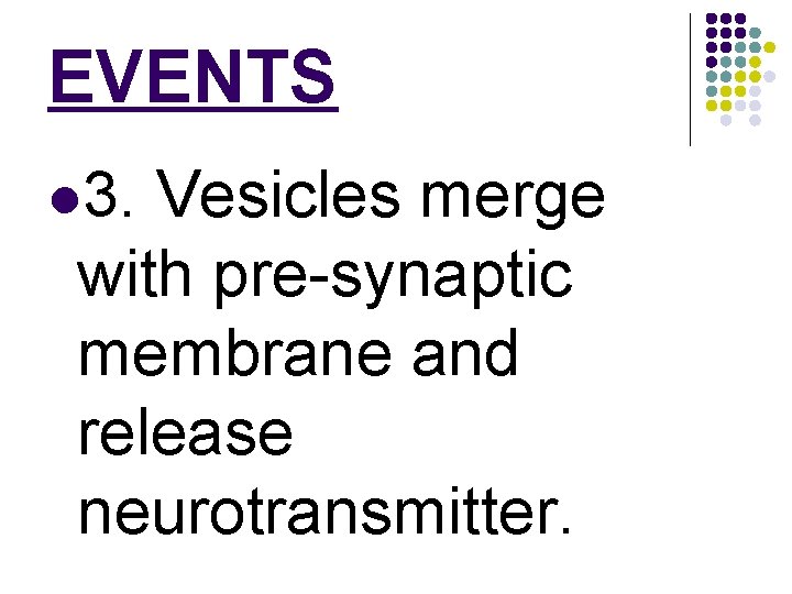 EVENTS l 3. Vesicles merge with pre-synaptic membrane and release neurotransmitter. 