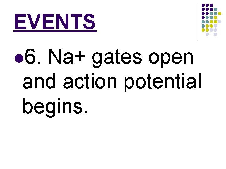 EVENTS l 6. Na+ gates open and action potential begins. 