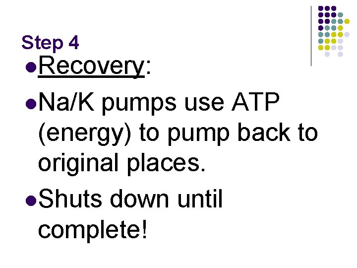 Step 4 l. Recovery: l. Na/K pumps use ATP (energy) to pump back to