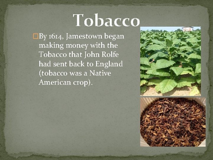 Tobacco �By 1614, Jamestown began making money with the Tobacco that John Rolfe had