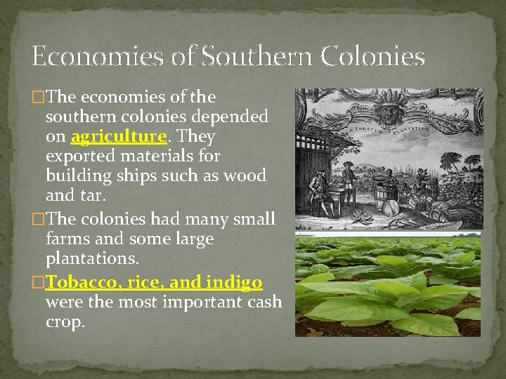 Economies of Southern Colonies �The economies of the southern colonies depended on agriculture. They