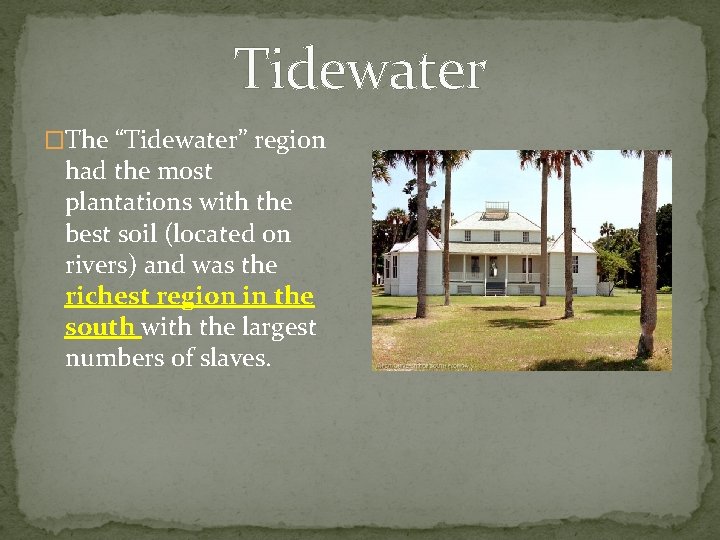 Tidewater �The “Tidewater” region had the most plantations with the best soil (located on