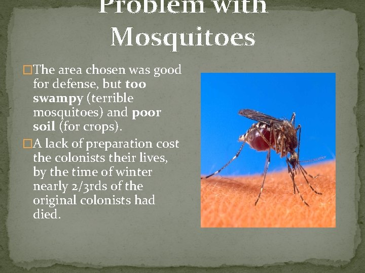 Problem with Mosquitoes �The area chosen was good for defense, but too swampy (terrible